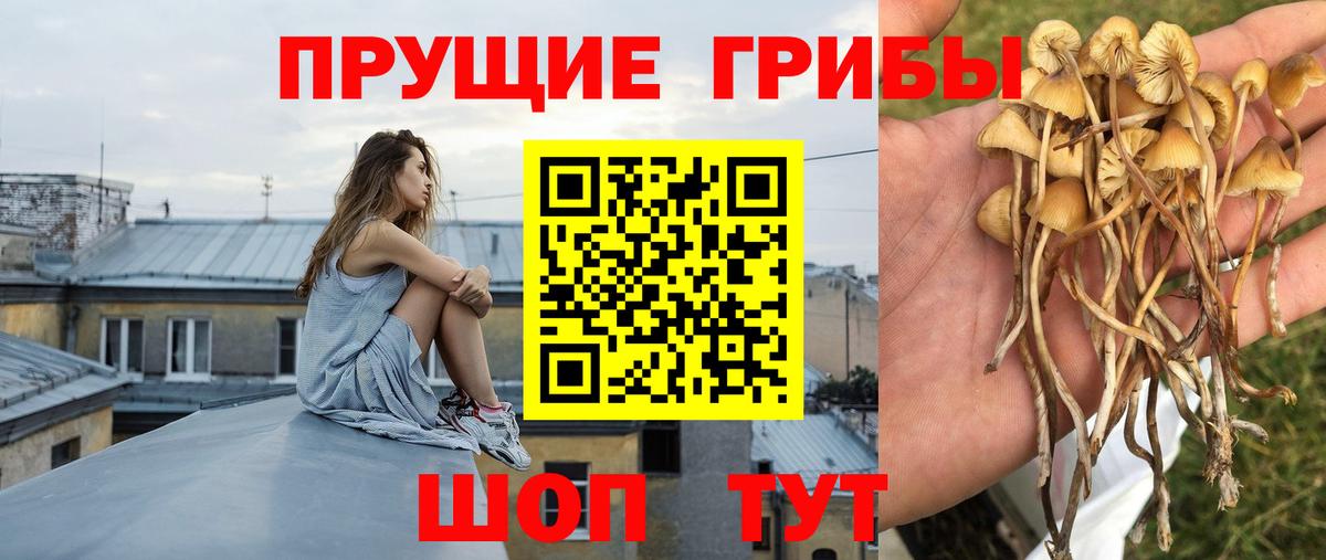 Псилоцибиновые грибы мицелий  Вход с VPN  Аша 
