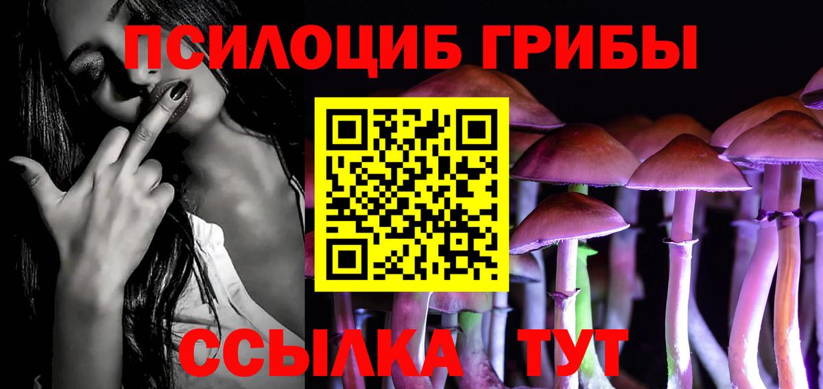 Псилоцибиновые грибы GOLDEN TEACHER Аша